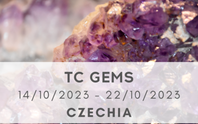 TC GEMS