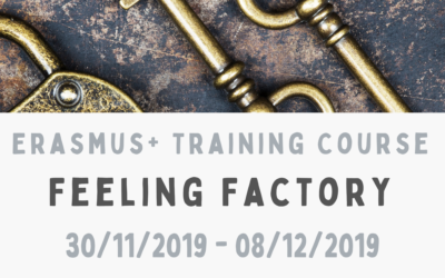 Erasmus+ Training Course “Feeling Factory”