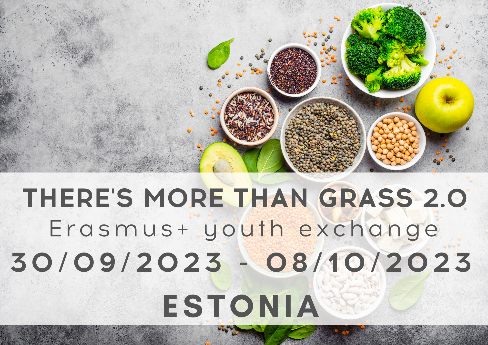 Erasmus+ Youth Exchange "There's More Than Grass 2.0" in Estonia. 30/09-08/10/2023