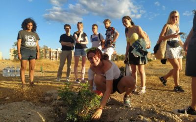 Sun & trees. Erasmus+ Youth Exchange in Spain